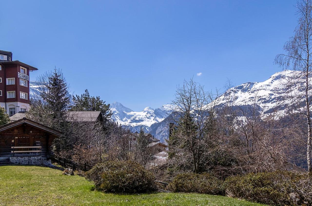Chalet Steingaertli 1 Wengen Exterior photo