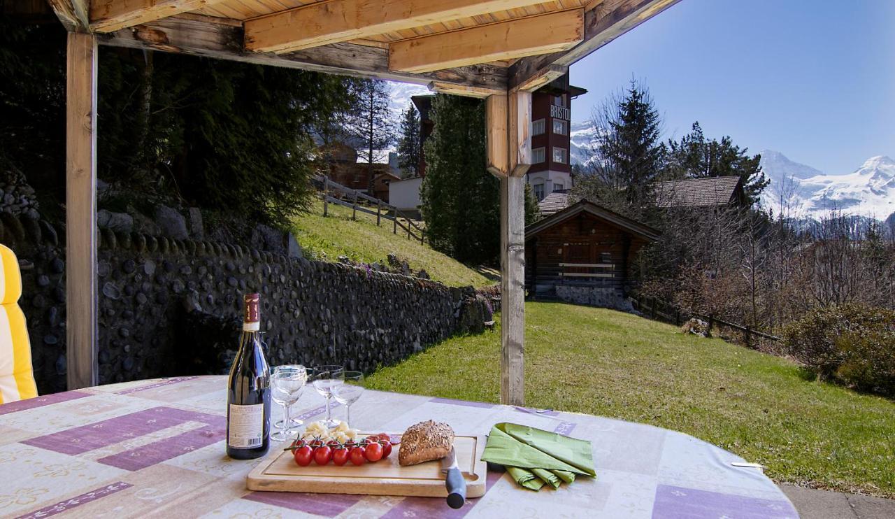 Chalet Steingaertli 1 Wengen Exterior photo